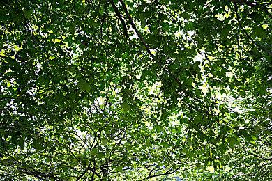 开放世界武侠《武林志2》明日开启Steam EA，梦回自由江湖